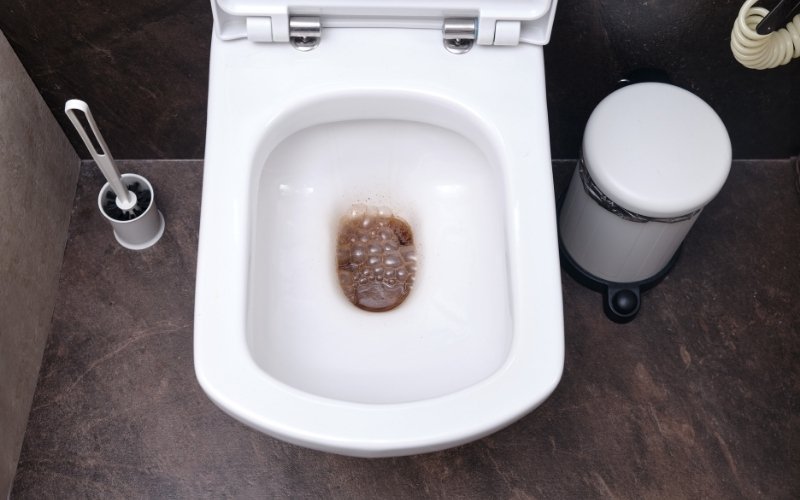 Tuvalet Tıkanıklığının En Net 4 Belirtisi